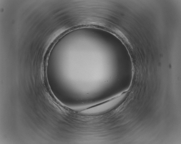 X0000066101076200603101135