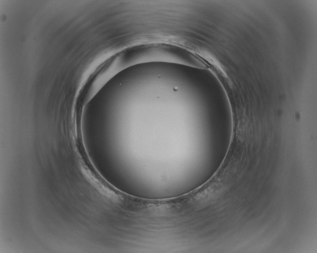 X0000066101080200603101135