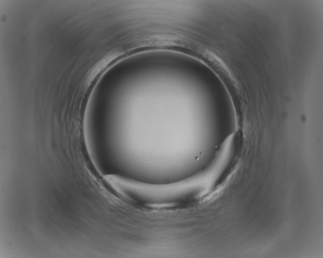 X0000066101081200603101135