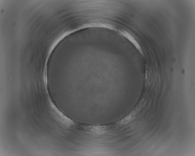 X0000066101084200603101135