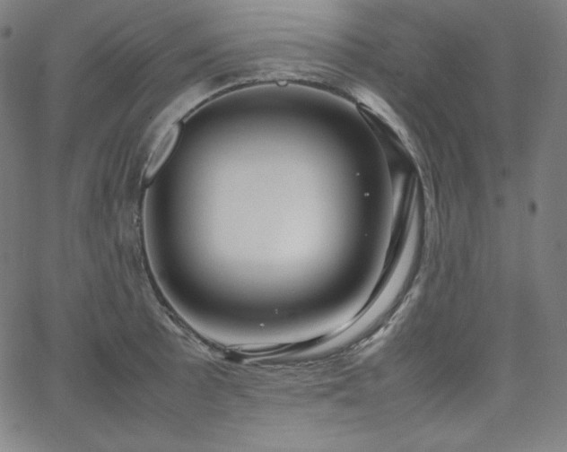 X0000066101089200603101135