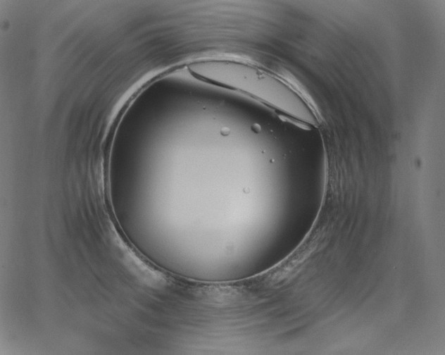 X0000066101092200603101135