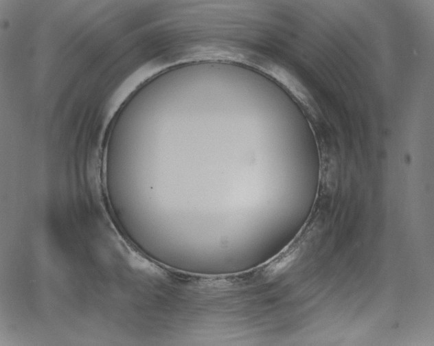 X0000066101094200603101135