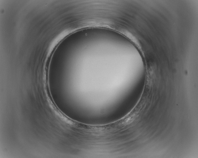 X0000066101096200603101135