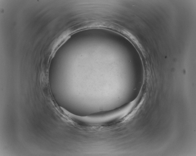 X0000066101097200603101135