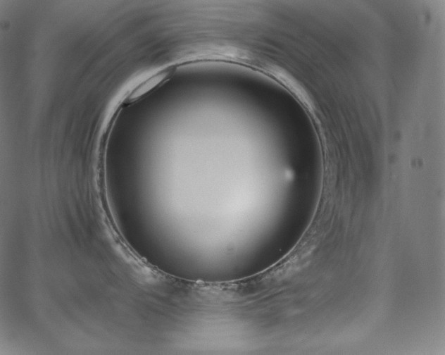 X0000066101104200603101135