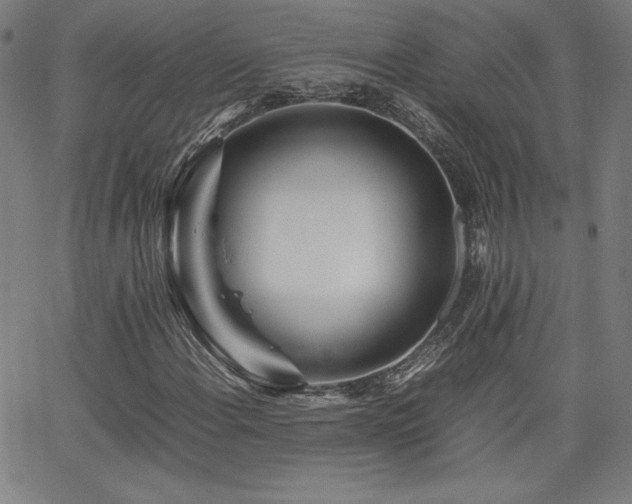 X0000066101108200603101134