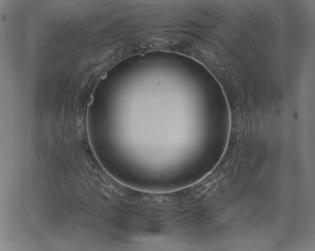 X0000066101109200603101134