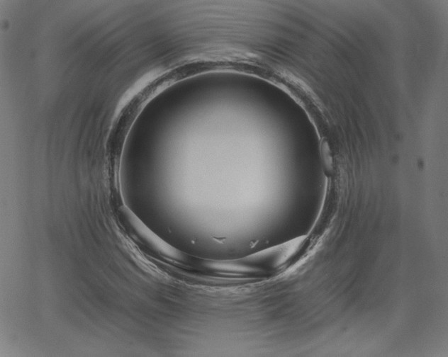 X0000066101114200603101134