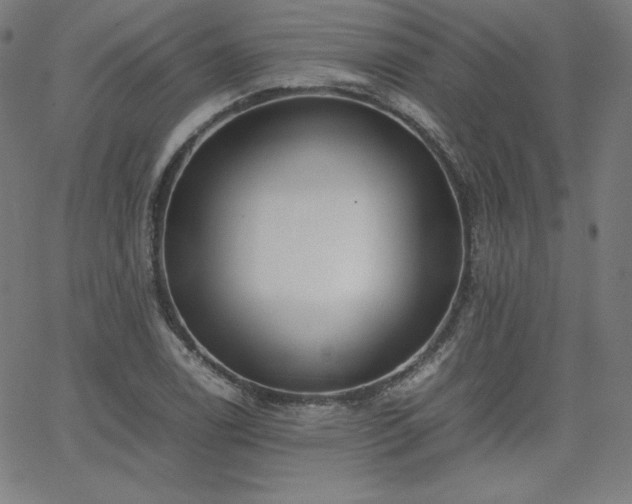 X0000066101122200603101134