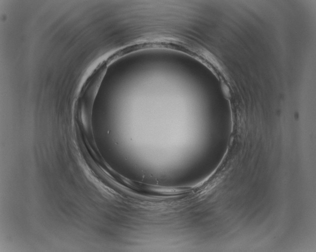 X0000066101124200603101134