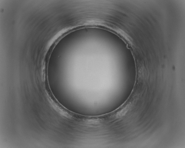 X0000066101126200603101134