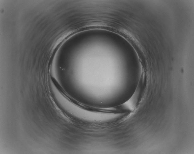 X0000066101129200603101134