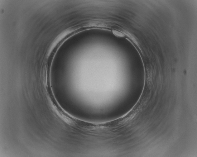 X0000066101131200603101134