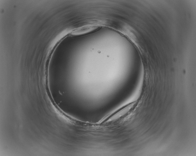 X0000066101143200603101135