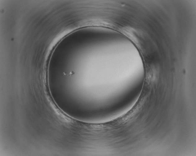 X0000066101144200603101135