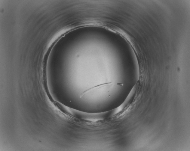 X0000066101147200603101135