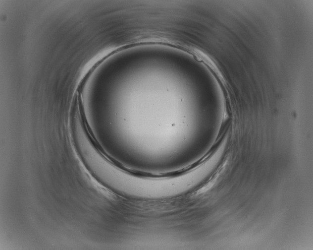 X0000066101149200603101135