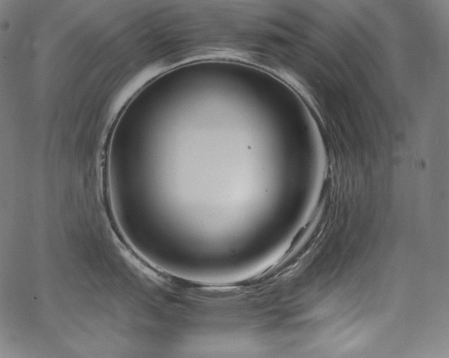 X0000066101151200603101135