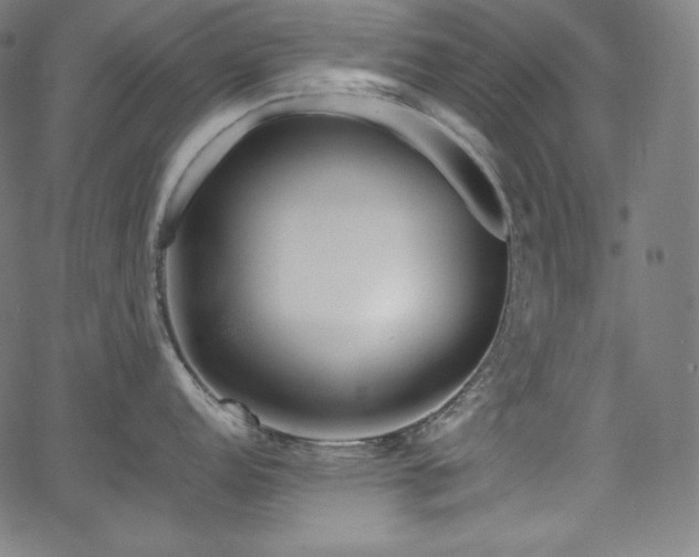 X0000066101152200603101135