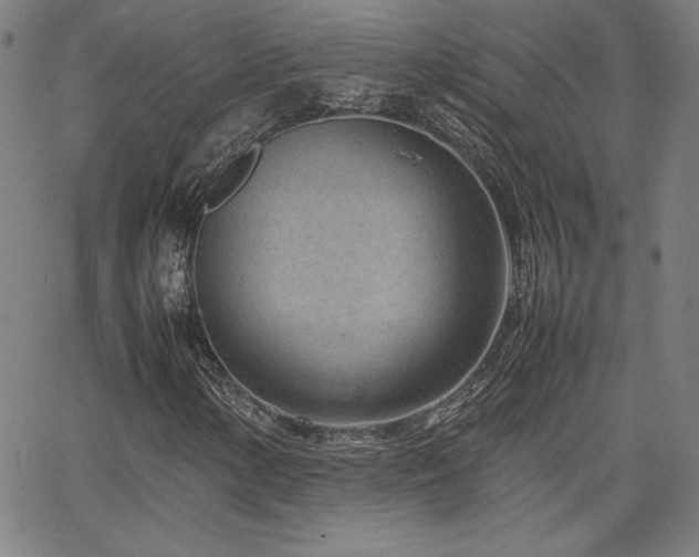 X0000066101154200603101134