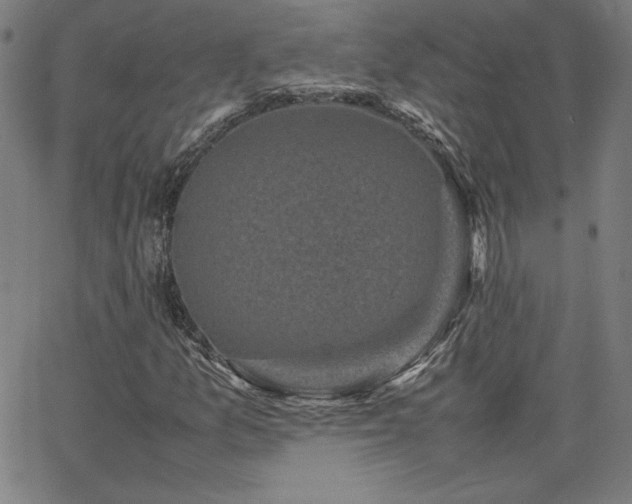 X0000066101157200603101134