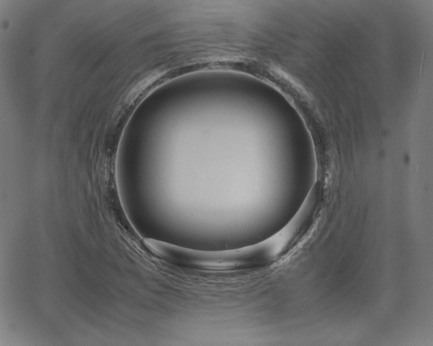 X0000066101169200603101134
