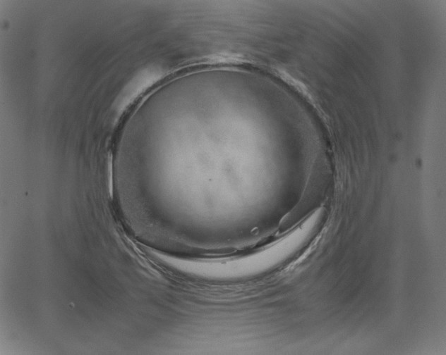 X0000066101171200603101134