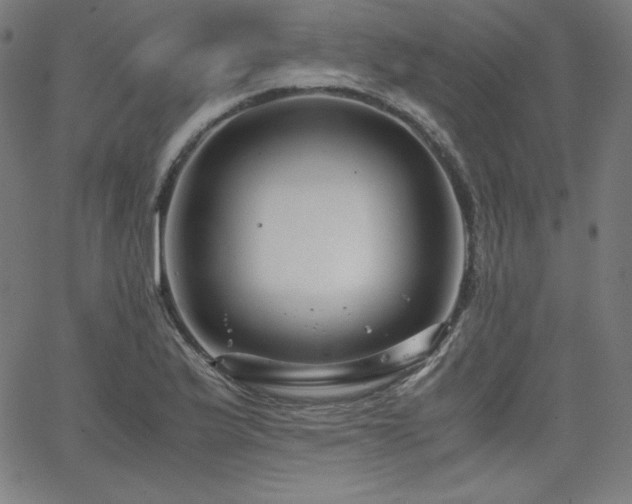 X0000066101175200603101134