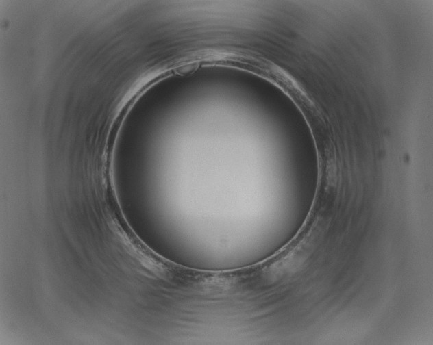 X0000066101178200603101134