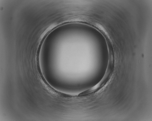 X0000066101181200603101133
