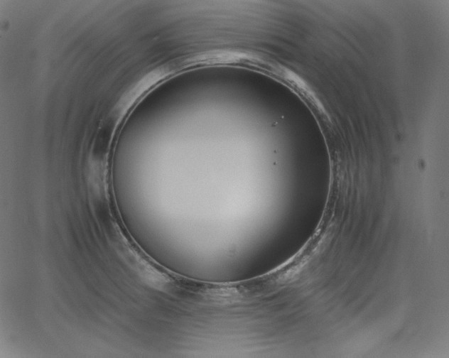 X0000066101186200603101133