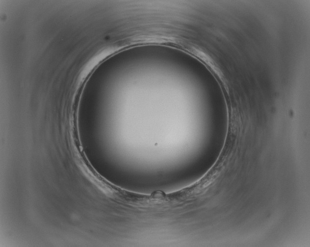 X0000066101187200603101133