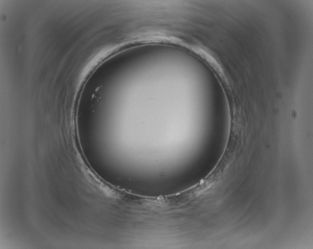 X0000066101191200603101133