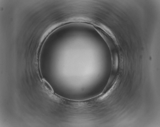 X0000066101192200603101133