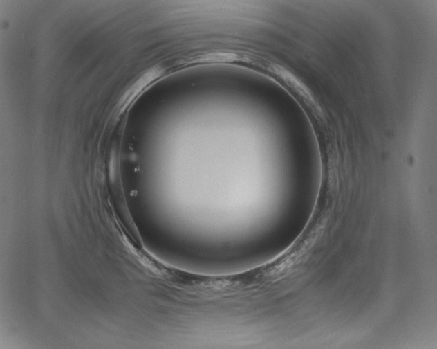 X0000066101193200603101133