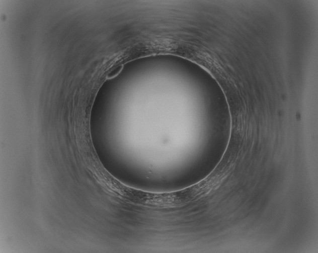 X0000066101201200603101132