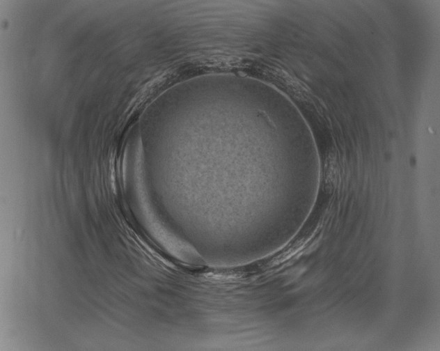 X0000066101202200603101132