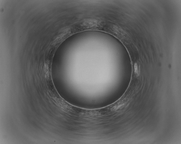 X0000066101203200603101132