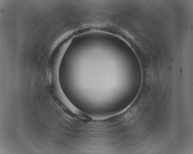 X0000066101214200603101133