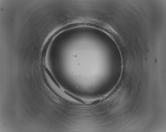 X0000066101216200603101133