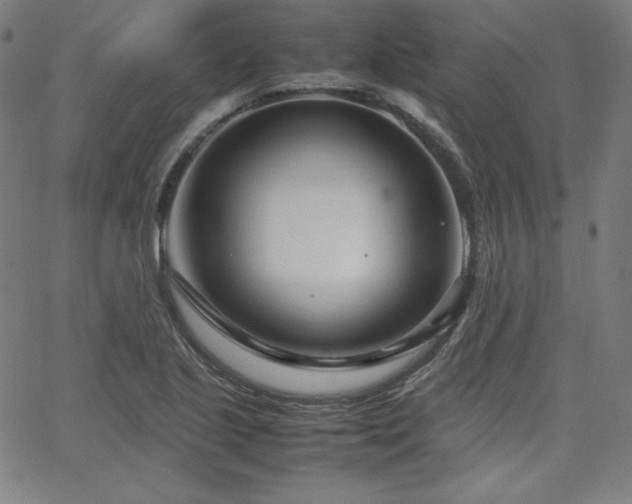 X0000066101221200603101133