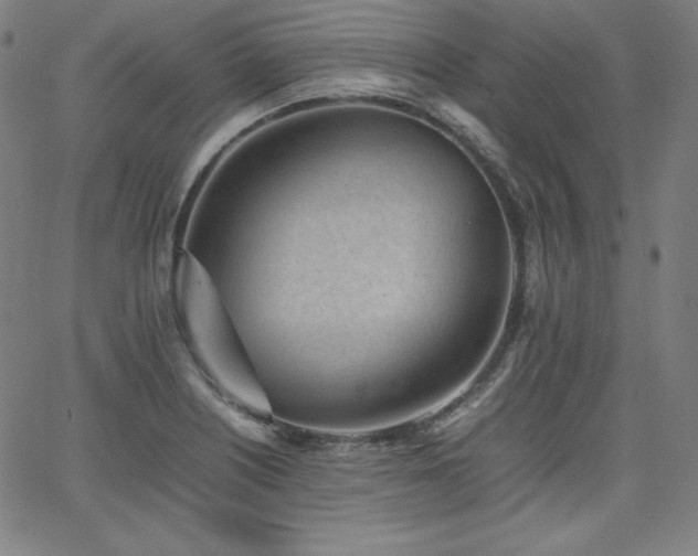 X0000066101226200603101133