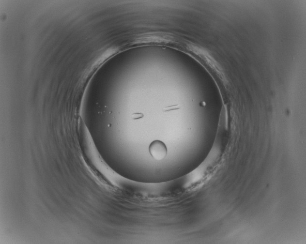 X0000066101233200603101133