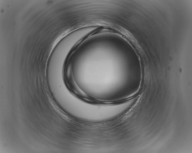 X0000066101234200603101133