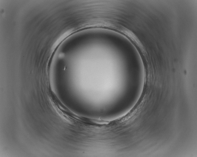 X0000066101242200603101133
