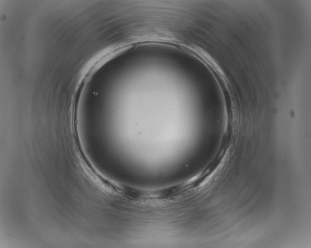 X0000066101246200603101133