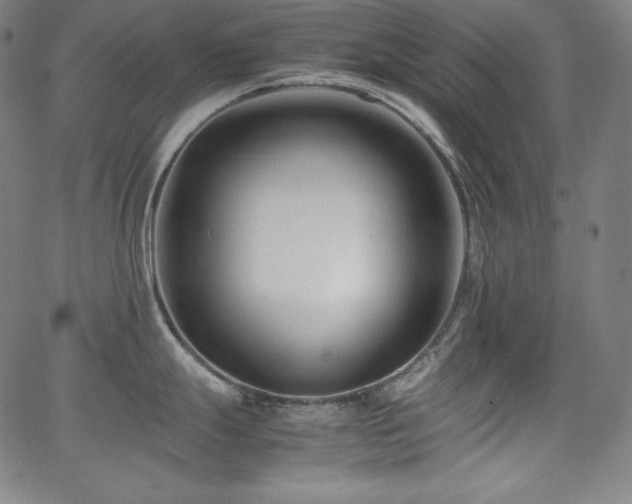 X0000066101247200603101133