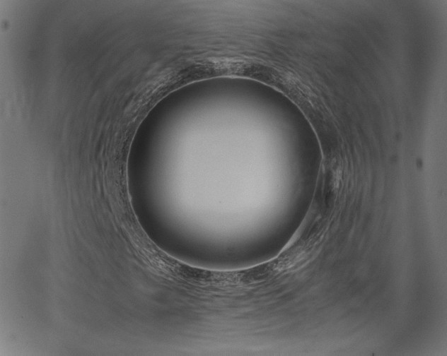 X0000066101249200603101132