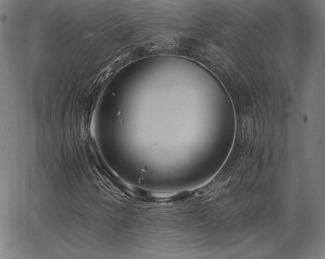 X0000066101250200603101132